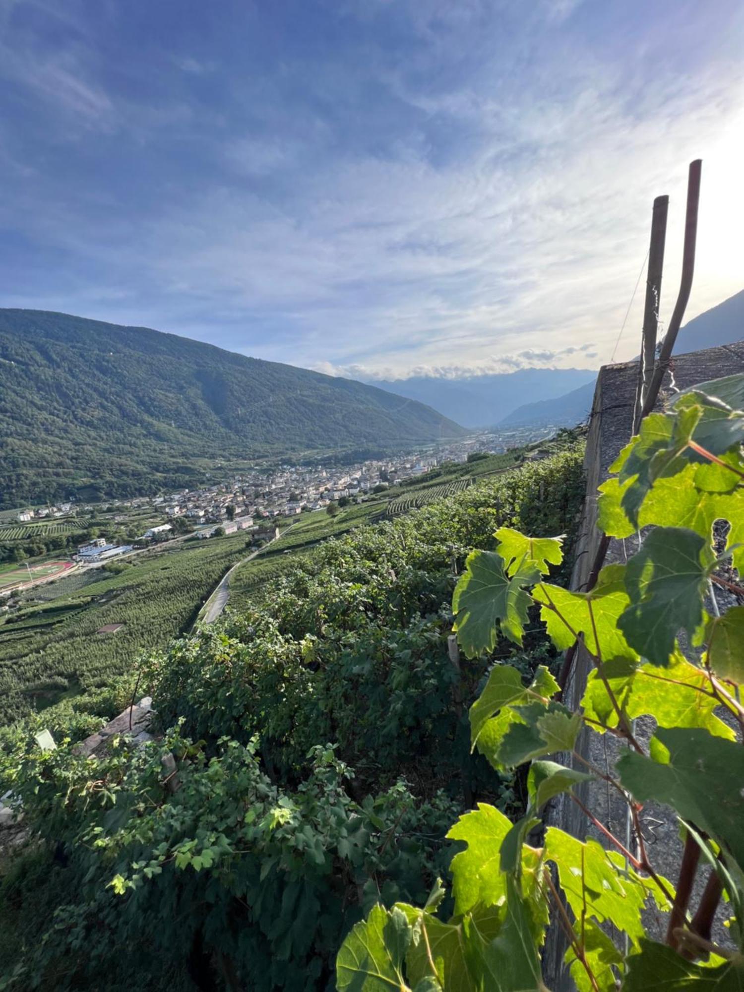 Sanmartino Suite Tirano Extérieur photo